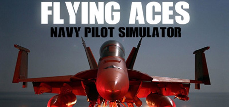 Flying Aces - Navy Pilot Simulator Image