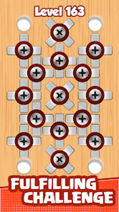 Screw Pin: Nuts & Bolts screenshot