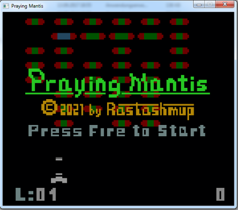 Praying Mantis Image
