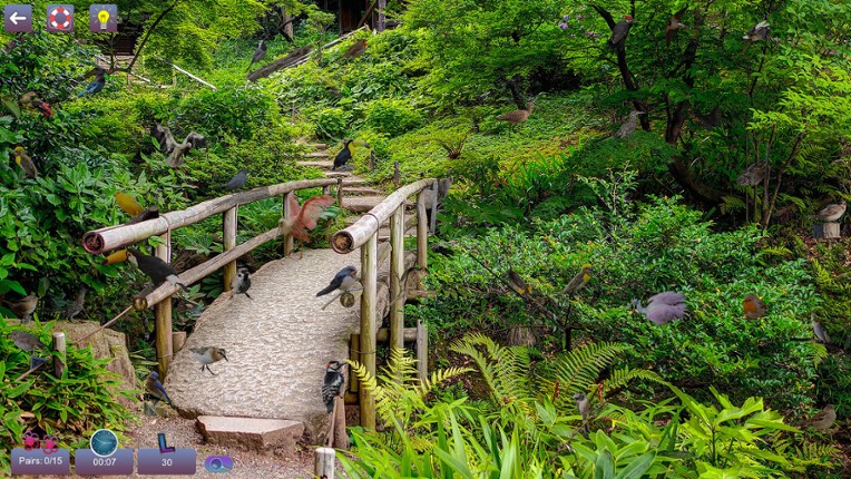 Hidden Pairs 3: Lovely Birds - Hidden Objects screenshot