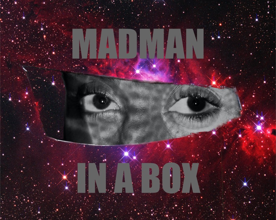 Games like Madman In A Box