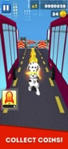 Paw Puppy Runner Dalmatian Image