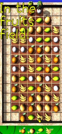 Rover Piyoko In Fruits Field screenshot