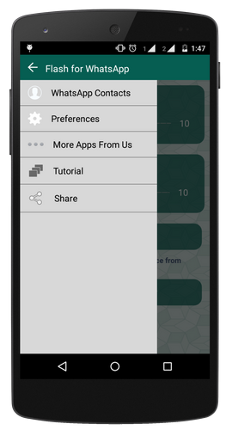 Flash for whatsApp screenshot