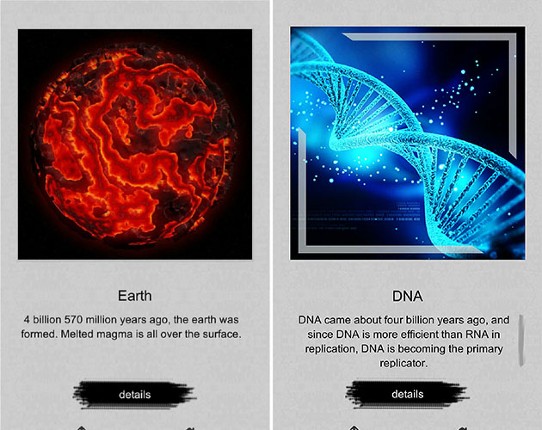 Jigsaw puzzle - Evolution Image