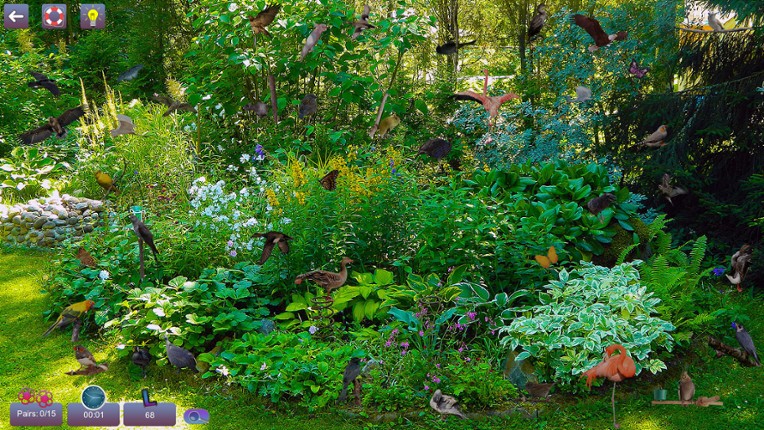 Hidden Pairs 3: Lovely Birds - Hidden Objects screenshot