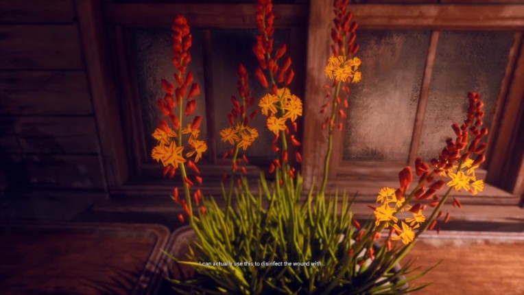 My Dear Emma screenshot