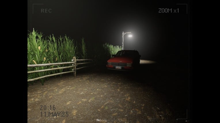 What Happened to Lily? screenshot