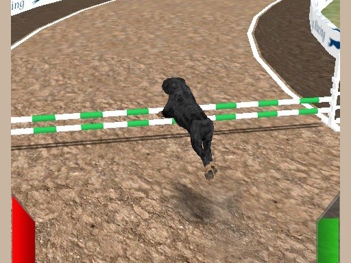 Games like Crazy Real Dog Race