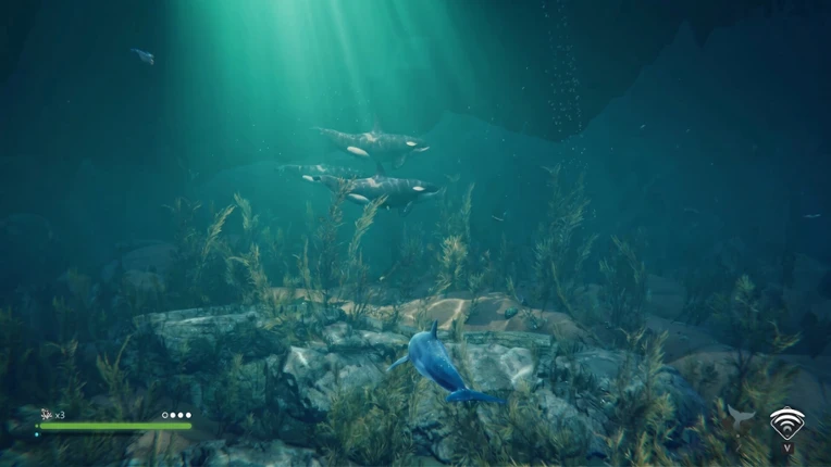 Echo: The dolphin story Image