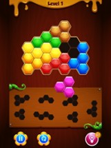 Hexa Blocks! Puzzle Image