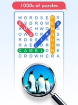 100 PICS Word Search Puzzles Image