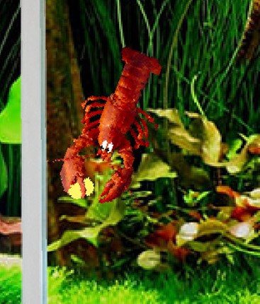 Aquarium Life screenshot