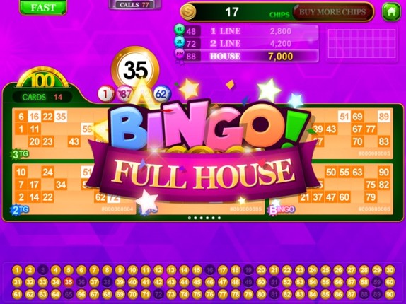 Bingo Solo 90 : 90 Ball Bingo screenshot
