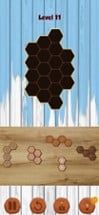 Hexa Wooden Block Puzzle! Image