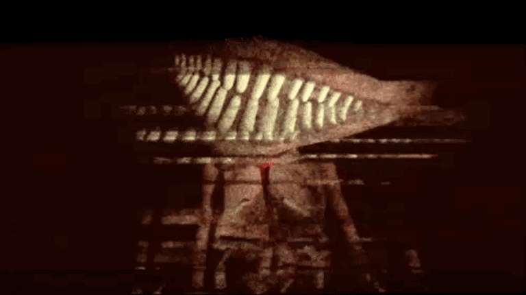 V.H.S Image