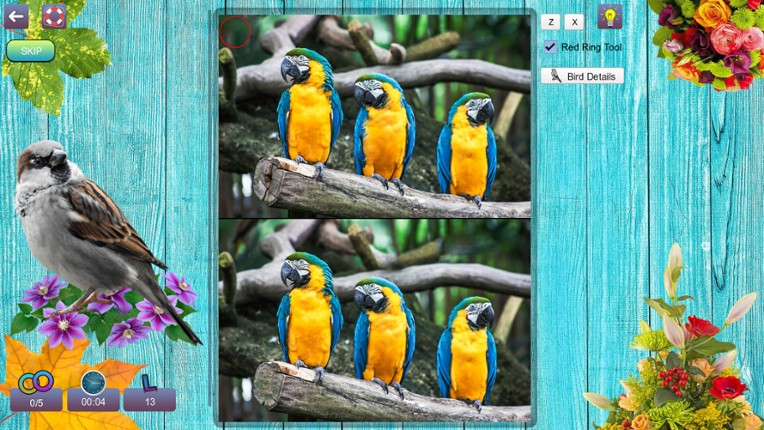 Hidden Pairs 3: Lovely Birds - Hidden Objects screenshot
