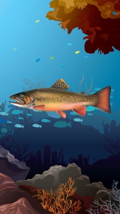 Marketable Fish Flashcards: English Vocabulary Learning Free For Toddlers &amp; Kids! Image