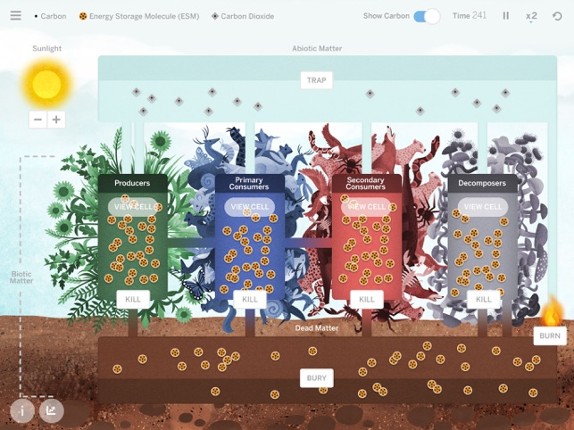 Matter & Energy in Ecosystems Image