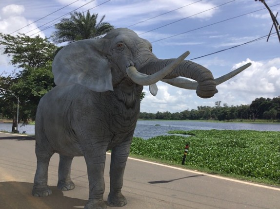AR Real Animals screenshot