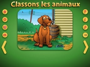 Classons les animaux Image