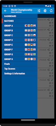 Football World Championship screenshot