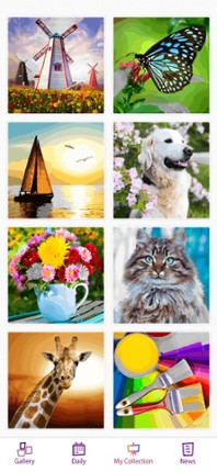 Oil Painting Color by Numbers Image