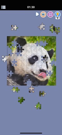 Photos Jigsaw Puzzle Image