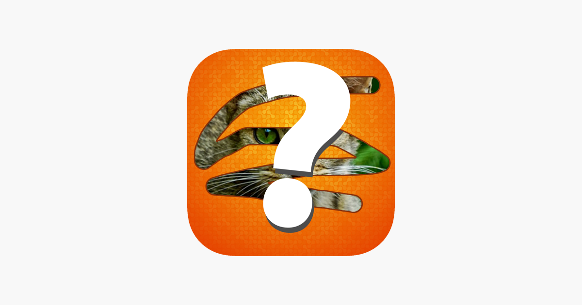 Games like Scratch and Guess it