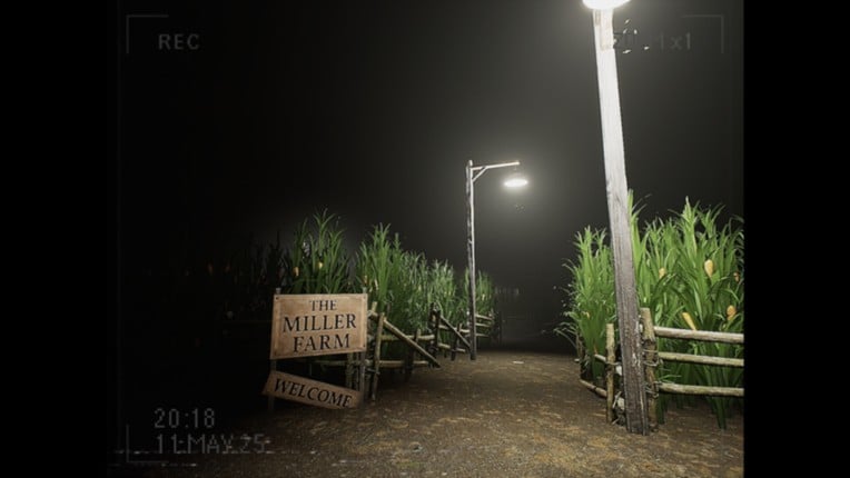 What Happened to Lily? screenshot