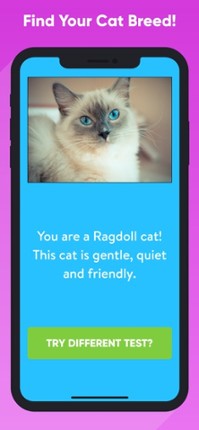 What Type Of Cat Are You? screenshot