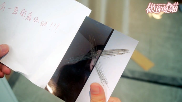 BeYourCat screenshot