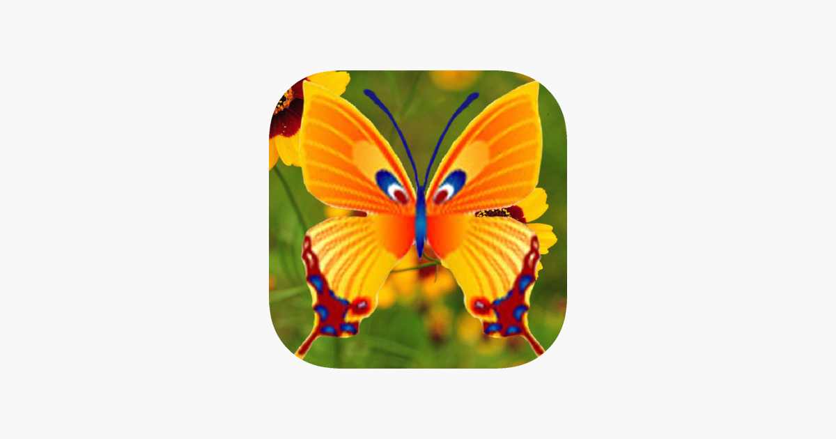 Games like Butterfly Shoot