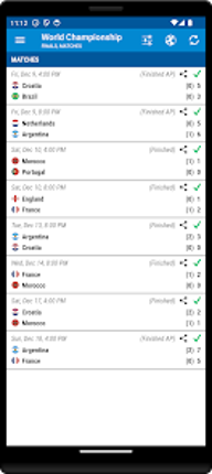 Football World Championship screenshot