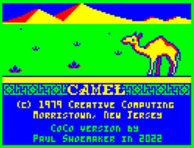 Camel Image