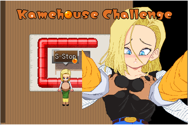 Kamehouse Challenge Image