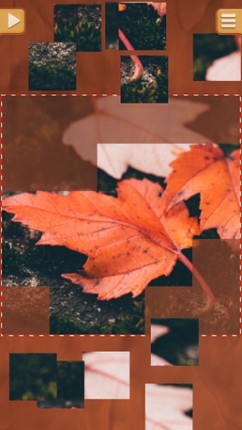 Leaf Puzzle Games - Real Picture Jigsaw Puzzles Image