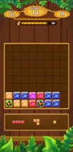 Block Puzzle Z Image