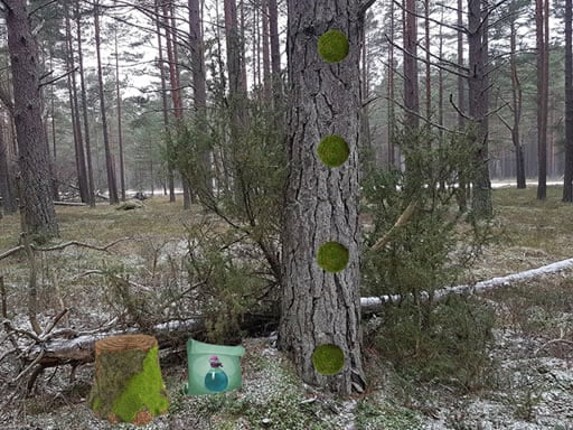 Return To The Frozen Forest Image