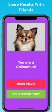 What Type Of Dog Are You? Image