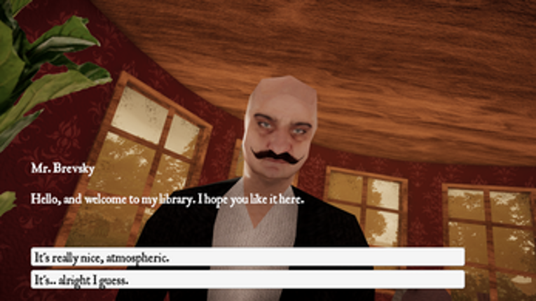 Brevsky's Library Image