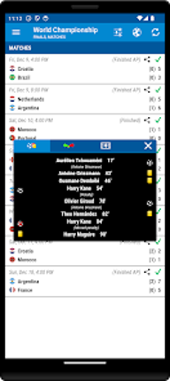 Football World Championship screenshot