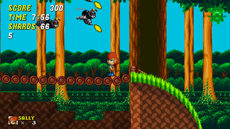 Sonic the Hedgehog Transitions screenshot