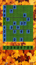 Sudoku Image