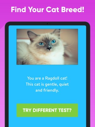 What Type Of Cat Are You? screenshot