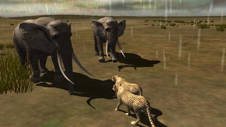 Africa Wild Free screenshot