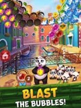 Bubble Shooter - Panda Pop! Image