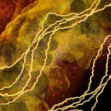 Circiution - The Course of An Empire Image