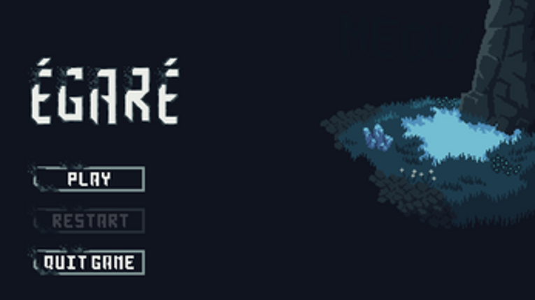 Égaré Image