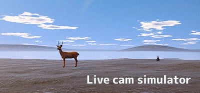 Live Cam Simulator Image